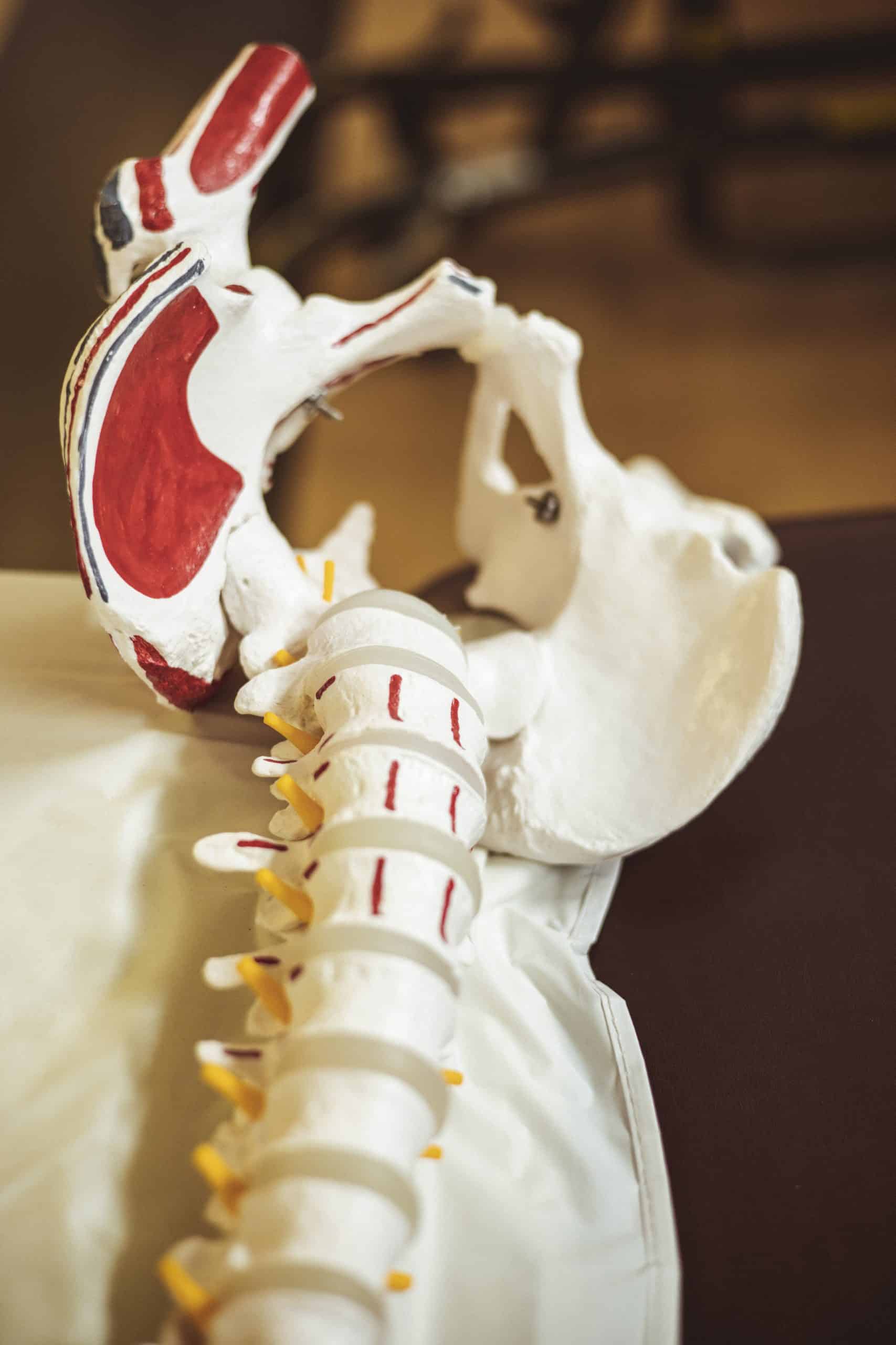 Back Pain Treatment In Grande Prairie